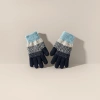 A pair of warm, anti-slip and touch-screen knitted gloves for women in autumn and winter details Picture